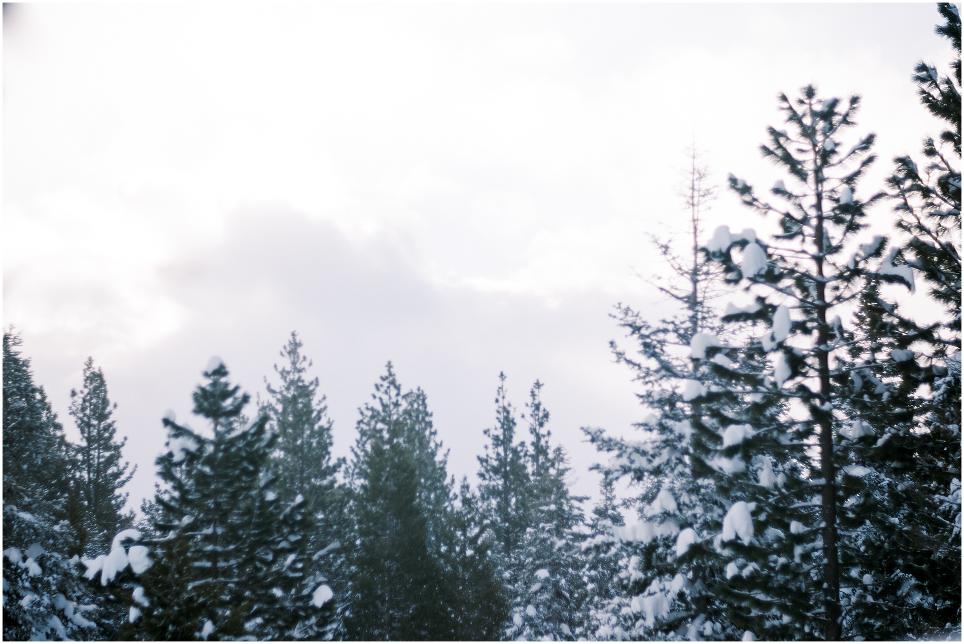 best ice skating philadelphia ice skating around philadelphia